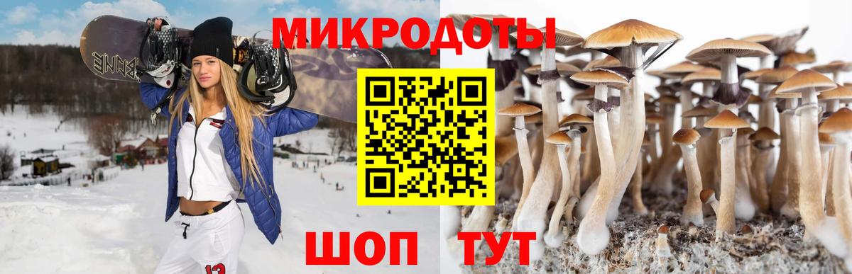 Псилоцибиновые грибы Psilocybine cubensis  Псилоцибиновые грибы GOLDEN TEACHER  Рязань  наркотики  Вход с VPN 